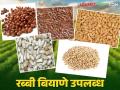 Rabi Season 2024 : रब्बी बियाणे विक्री करण्यास सुरुवात; कोणती आहेत वाण ते वाचा सविस्तर  - Marathi News | Rabi Season 2024 : Rabi seed sales start; Read in detail what are the varieties  | Latest agriculture News at Lokmat.com