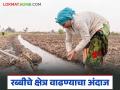 Agriculture News : रब्बी क्षेत्र 10 लाख हेक्टरने वाढण्याचा अंदाज; कृषिमंत्री दत्ता भरणे काय म्हणाले? - Marathi News | Latest news Rabi area estimated to increase by 1 million hectares says Agriculture ministre bharne | Latest agriculture News at Lokmat.com