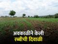पावसामुळे रब्बी पिकांना मिळणार जीवदान - Marathi News | Rabi crops will get life due to rain | Latest agriculture News at Lokmat.com