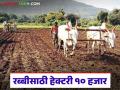 रब्बी हंगामामध्ये बियाणे व इतर बाबींकरिता विशेष मदत पॅकेजमधून हेक्टरी १० हजार रुपये मिळणार - Marathi News | Rs 10,000 per hectare will be available from the special assistance package for seeds and other items during the Rabi season. | Latest agriculture News at Lokmat.com