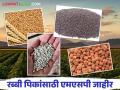 MSP for Rabi Season : २०२५-२६ रब्बी हंगामातील पिकांसाठी किमान आधारभूत किंमतीत वाढ वाचा सविस्तर - Marathi News | MSP for Rabi Season : Increase in Minimum Support Price for Rabi Season Crops 2025-26 Read Details | Latest agriculture News at Lokmat.com