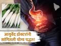 ना होईल गॅस, ना येईल ढेकर, जाणून घ्या मुळा खाण्याची योग्य पद्धत; Acidity लगेच होईल दूर! - Marathi News | Expert told the right way to eat radish to treat acid reflux | Latest health News at Lokmat.com