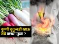 कच्चा मुळा खाणं ‘या’ लोकांसाठी घातक-चुकूनही खाऊ नका, तब्येत बिघडून थेट गाठावा लागेल दवा‌खाना - Marathi News | Who should strictly avoid eating radish | Latest sakhi News at Lokmat.com