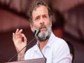 राहुल गांधींच्या याचिकेवर अंतिम आदेश सुट्टीनंतरच; अंतरिम दिलासा देण्यास नकार  - Marathi News | Final order on Rahul Gandhi's plea only after recess; Refusal to grant interim relief | Latest national News at Lokmat.com
