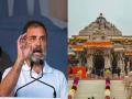 “राम मंदिराच्या लोकार्पणात गरीब अन् शेतकरी कुठे दिसले का?”; राहुल गांधींचा थेट सवाल - Marathi News | congress rahul gandhi criticised bjp in madhya pradesh rally for lok sabha election 2024 | Latest national News at Lokmat.com