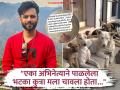 एवढीच हौस असेल तर रस्त्यावरचे कुत्रे घरी घेऊन जा! राहुल वैद्य का भडकला? म्हणाला- "सोशल मीडियावर स्टोरी टाकून..." - Marathi News | rahul vaidya slams who oppose and protest against supreme court decision regarding stray dogs | Latest filmy News at Lokmat.com