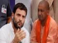 योगी आदित्यनाथांचे वागणे मूर्खपणाचे - राहुल गांधी  - Marathi News | Adityanath is ‘behaving foolishly’: Rahul Gandhi on arrest of three journalists | Latest national News at Lokmat.com