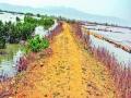 खारभूमी बंधाऱ्यांच्या कामासाठी धावाधाव; मनुष्यबळाअभावी यंत्राद्वारे कामे - Marathi News | Rush for saline dam work; Works by machine due to lack of manpower | Latest raigad News at Lokmat.com