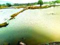 बंधा-याच्या दुरु स्तीसाठी शेतक-यांचे प्रयत्न सुरू - Marathi News | Farmers continue their efforts for the repair of the dam | Latest raigad News at Lokmat.com