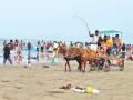 रायगडमध्ये पर्यटकांनी बहरले समुद्रकिनारे - Marathi News | Tourists visit the beaches in Raigad | Latest raigad News at Lokmat.com