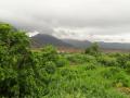 मृगाच्या पावसाने रायगडमध्ये जाेर धरला, काेकण रेल्वेचा प्रवास हाेताेय निसर्ग रमणीय - Marathi News | Due to the rains of the dead, Raigad was caught by the rain; | Latest raigad News at Lokmat.com