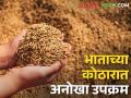 रायगड जिल्ह्यात भात बियाणांसाठी 'एक जिल्हा, एक दर' निश्चित - Marathi News | 'One district, one rate' fixed for paddy seeds in Raigad district | Latest agriculture News at Lokmat.com