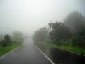 मराठवाड्यात १५ जुलैनंतर मोठ्या पावसाची आशा - Marathi News | there is hope for heavy rains In Marathwada after 15th of July | Latest maharashtra News at Lokmat.com