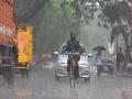 Pune Rain Update: पुणेकरांची तारांबळ उडाली; सकाळपासूनच पावसाची धुव्वादार बॅटिंग - Marathi News | Pune cirizens cable blew up Rain soaked batting since morning | Latest pune News at Lokmat.com