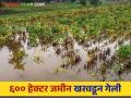 दहा जिल्ह्यांत ८.५ लाख हेक्टरवरील पिके गेली वाहून सर्वाधिक नुकसान नांदेड जिल्ह्यात - Marathi News | Crops covering 8.5 lakh hectares in 10 districts were washed away and the worst loss was in Nanded district | Latest agriculture News at Lokmat.com
