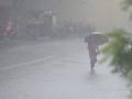 विदर्भात सर्वदूर दमदार पावसाची हजेरी - Marathi News | Presence of heavy rains all over Vidarbha | Latest nagpur News at Lokmat.com