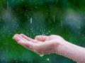 आता पाऊस आला, म्हणजे...सगळं पुन्हा आधीसारखं होईल.. का? - Marathi News | rain-monsoon- gives you hope to be alive again, beauty of nature makes all happy.. how.. | Latest sakhi News at Lokmat.com