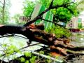 नागपूरसह जिल्ह्याला वादळी पावसाचा तडाखा - Marathi News | Heavy rains hit Nagpur and other districts | Latest nagpur News at Lokmat.com