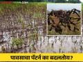 अचानक होणारी अतिवृष्टी कशामुळे? पाऊस आपला पॅटर्न बदलतोय का? - Marathi News | What causes sudden heavy rains? Is the rain changing its pattern? | Latest agriculture News at Lokmat.com