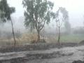 सांगली जिल्ह्याला वादळी वाऱ्यासह मुसळधार पावसाने झोडपले - Marathi News | Rain accompanied by gale force in Sangli district | Latest sangli News at Lokmat.com