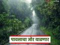 Maharashtra Weather Update : कमी दाबाचा पट्टा सक्रिय; पुढील पाच दिवस वाढणार पावसाचा जोर - Marathi News | Maharashtra Weather Update : Low pressure area active; Rain intensity to increase for next five days | Latest agriculture News at Lokmat.com