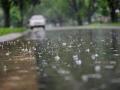 विदर्भातील एकाही जिल्ह्यात पावसाने ओलांडली नाही सरासरी! - Marathi News | No district in Vidarbha has received above average rainfall! | Latest akola News at Lokmat.com