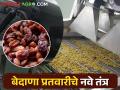 बेदाणा प्रक्रियेमधील या आधुनिक तंत्रज्ञानाने होतेय वेळ, श्रम आणि खर्चात बचत - Marathi News | This modern technology in grape raisins processing saves time, labor and cost | Latest agriculture News at Lokmat.com
