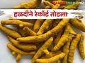 हळदीपुढे सोनं फिके; विक्रमी दराचा उच्चांक मोडला.. मिळाला इतका बाजारभाव - Marathi News | Turmeric got more value than gold; The record high price was broken.. got how much market price | Latest agriculture News at Lokmat.com