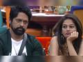 #BiggBoss 'या' काही जोड्यांमुळे गाजली बिग बॉसची अनेक पर्व - Marathi News | #BiggBossMarathi controvercial couples from bigg boss | Latest filmy Photos at Lokmat.com
