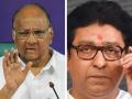 Sharad Pawar: "राज ठाकरेंना जास्त गांभीर्याने घेण्याची गरज नाही"; शरद पवारांचे प्रत्युत्तर - Marathi News | Sharad Pawar: "Raj Thackeray doesn't need to be taken too seriously"; says Sharad Pawar | Latest maharashtra News at Lokmat.com