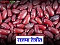 Rajma Market : बाजारात राजमाने घेतली आघाडी; जादा दराचा थेट शेतकऱ्यांना फायदा वाचा सविस्तर - Marathi News | latest news Rajma Market: Rajma takes the lead in the market; Farmers directly benefit from the higher price, read in detail | Latest agriculture News at Lokmat.com