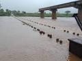 चंदगड तालुक्यात 30.83 मिमी पाऊस,10 बंधारे पाण्याखाली - Marathi News | 30.83 mm rainfall in Chandgad taluka | Latest kolhapur News at Lokmat.com