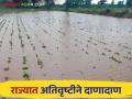Maharashtra Rain Update : परतीच्या पावसाचा जोर'धार'; नद्या अन् शिवारात पाणीच पाणी - Marathi News | Maharashtra Rain Update : Heavy rains in Maharashtra; Water is water in rivers and hills | Latest agriculture News at Lokmat.com