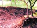 राळेगण म्हसोबा येथील २८ एकर सरकारी जमिनीवर अतिक्रमण - Marathi News | Encroachment on 28 acres of government land at Ralegan Mhoba | Latest ahilyanagar News at Lokmat.com