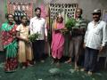 घराघरांत साजरा झाला रानभाज्या महोत्सव - Marathi News | Vegetable Festival was celebrated in every house | Latest kolhapur News at Lokmat.com