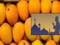 रमजानमुळे आखाती देशात हापूस आंब्याला वाढती मागणी - Marathi News | Due to Ramadan the demand for Hapus mangoes in the Gulf countries is increasing | Latest ratnagiri News at Lokmat.com
