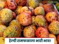 Ramphal Market : हेल्दी रामफळाला बाजारात जबरदस्त मागणी; 'इतके' रुपये किलो मिळतोय दर - Marathi News | latest news Ramphal Market: Healthy Ramphal is in huge demand in the market; The price per kg is 'so much' rupees | Latest agriculture News at Lokmat.com