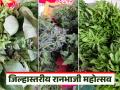 Ranbhaji : नाशिकमध्ये रानभाजी महोत्सव, 40 हून अधिक प्रकारच्या दुर्मिळ रानभाज्यांची चंगळ  - Marathi News | Latest News ranbhaji Festival in Nashik, 40 types of rare wild vegetables see details | Latest agriculture News at Lokmat.com