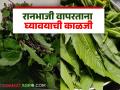 Ranbhaji : आरोग्यदायी रानभाज्यांची रेलचेल, रानभाजी बनवतांना 'या' गोष्टी लक्षात ठेवा! - Marathi News | Latest News Ran bhaji Recipe keep these things in mind when preparing ranbhaji | Latest agriculture News at Lokmat.com
