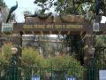 राणीच्या बागेत मिळणार शहरी शेतीचे धडे - Marathi News | Lessons in urban agriculture will be available in veer mata jijabai bhosale zoo mumbai | Latest mumbai News at Lokmat.com