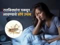 रातकिड्यांच्या किर्र.किर्र आवाजानं झोपचं खोबरं होतं? ‘हा’ उपाय करा, झोप लागेल शांत रोज - Marathi News | How to get rid of crickets in the house | Latest sakhi Photos at Lokmat.com