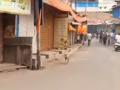 Ratnagiri: खेडमध्ये गोवंश हत्येच्या निषेधार्थ कडकडीत बंद - Marathi News | Strict shutdown in Khed to protest cow slaughter | Latest ratnagiri News at Lokmat.com