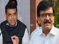 ‘मुझसे मत लेना पंगा, मै आदमी हूं नंगा’ - Marathi News | ‘Don’t take it from me, I’m a naked man’ | Latest editorial News at Lokmat.com