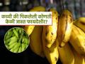 कच्ची की पिकलेली, वजन कमी करण्यासाठी कोणती केळी खाणं फायद्याचं? पाहा दोन्हींत फरक काय.. - Marathi News | Ripe vs raw bananas which is better for weight loss | Latest sakhi News at Lokmat.com
