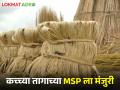 कच्च्या तागाच्या एमएसपीला केंद्रीय मंत्रिमंडळाची मंजुरी, प्रति क्विंटल 5 हजार 335 रुपये दर निश्चित - Marathi News | Latest News Union Cabinet approves MSP for jute raw linen, rates fixed at Rs 5,335 per quintal | Latest agriculture News at Lokmat.com