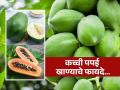 पिकलेलीच नाही तर कच्ची पपई खा, कायम लांब राहतील 'हे' आजार! स्वस्तातलं जादूई फळ - Marathi News | Raw papaya eating health benefits, know how to consume it | Latest sakhi News at Lokmat.com
