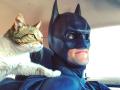 मुक्या जनावरांना मदत करणारा खऱ्या आयुष्यातील बॅटमॅन! - Marathi News | Man who dresses up like batman to save shelter animals find them loving families | Latest jarahatke News at Lokmat.com