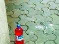 कुत्र्यांना पळविण्यासाठी घर व परिसरात लाल पाण्याच्या बाटल्या - Marathi News | Red water bottles in the house and premises to run the dogs | Latest kolhapur News at Lokmat.com