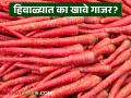 हिवाळ्यात नारंगी गाजर खावे की लाल? कोणत्या गाजराचे काय फायदे? जाणून घ्या सविस्तर - Marathi News | Should you eat orange carrots or red carrots in winter? What are the benefits of which carrot? Learn in detail | Latest agriculture News at Lokmat.com