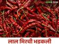 नंदुरबारच्या प्रसिद्ध मिरची मार्केटमध्ये लाल मिरचीने सर्वाधिक भावाचा रेकॉर्ड तोडला - Marathi News | Red chilli broke the record for the highest price at Nandurbar's famous chilli market | Latest agriculture News at Lokmat.com
